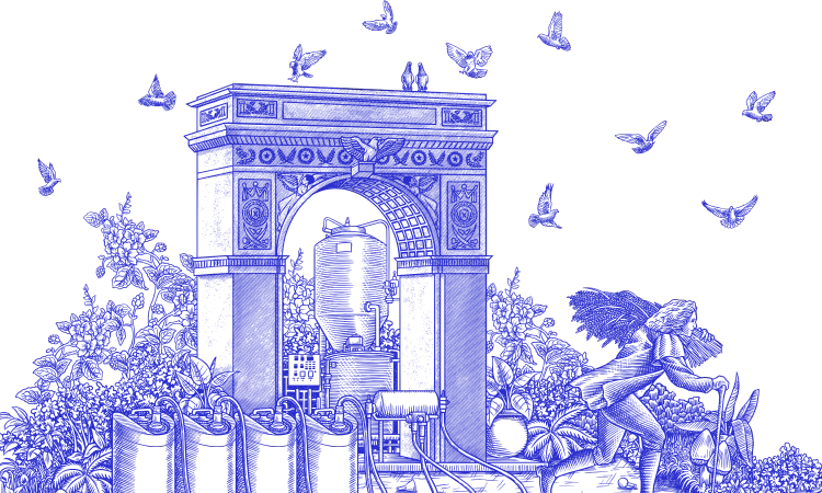 pStock toile