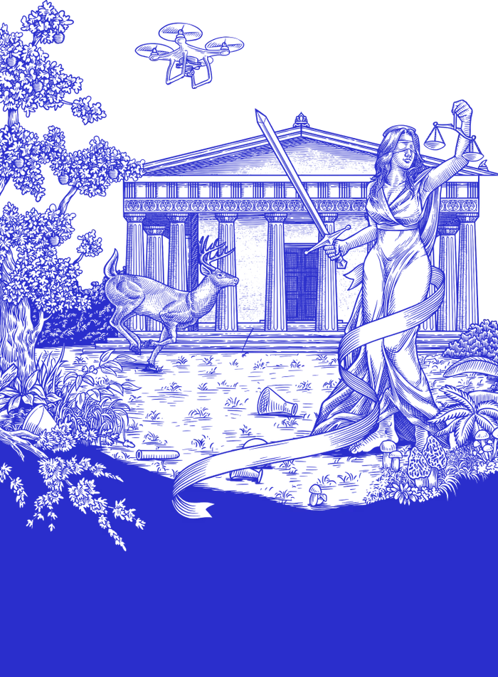 pStock toile